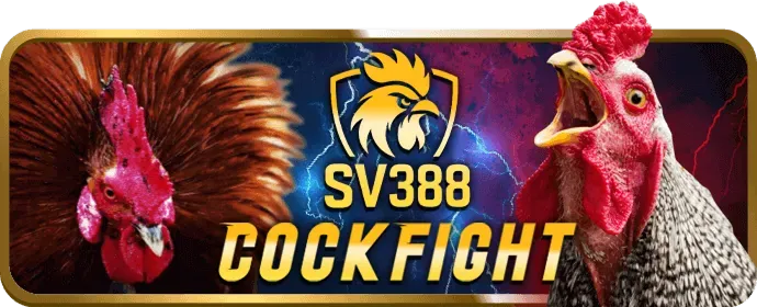 Khuyến mãi và ưu đãi TK88BET
